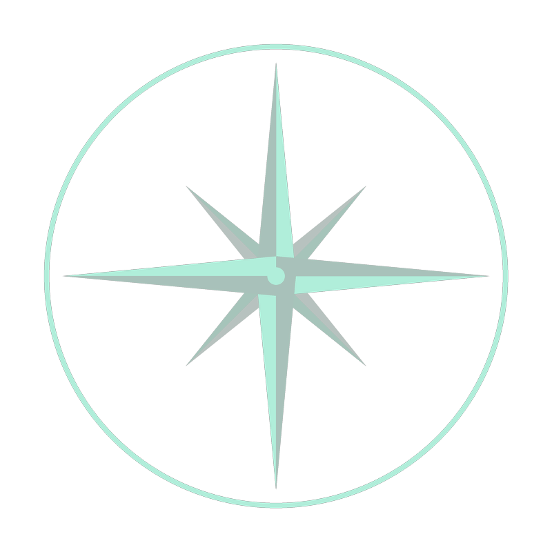 Your AI Compass